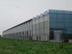 潍坊销量好的蔬菜温室大棚建设供应 优质蔬菜温室大棚