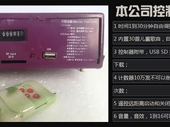 江苏电动毛绒玩具 称心的海峡毛绒玩具品牌推荐