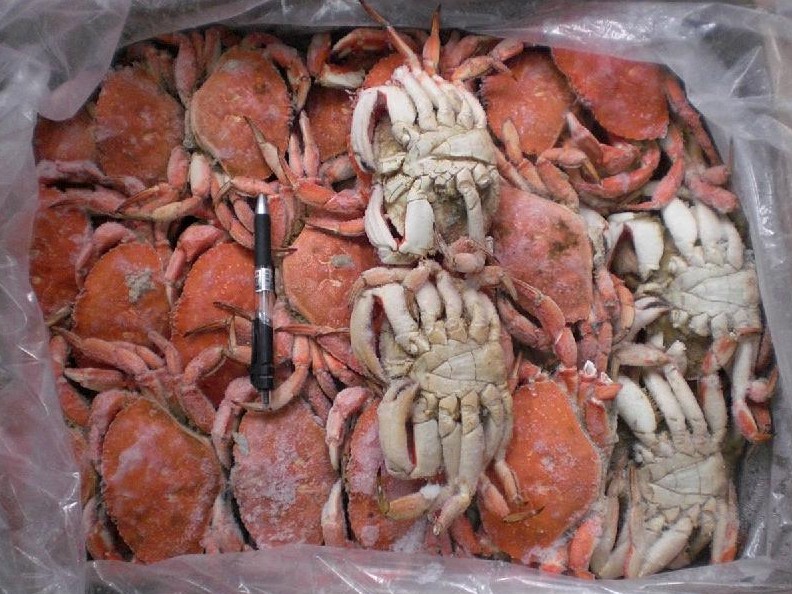 精装冷冻食品--螃蟹【推荐】|大兴冷冻螃蟹