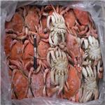 厂家直销口味好的冷冻食品--螃蟹|冷冻食品厂家