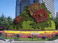 实惠的五色草立体花坛设计哪家提供——洛阳五色草立体花坛