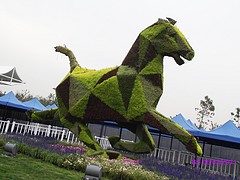 实惠的五色草立体花坛设计哪家提供——洛阳五色草立体花坛