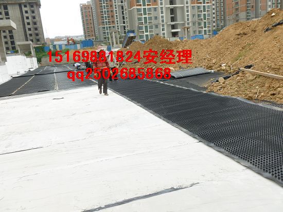 宣城屋顶绿化排水板～滁州车库顶板种植排水板  