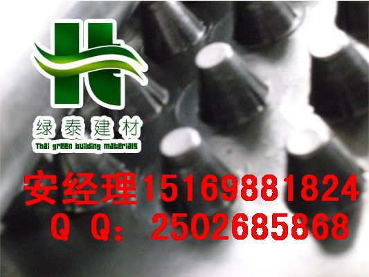 南京4公分排水板生产厂家武汉车库排水板（保证质量）