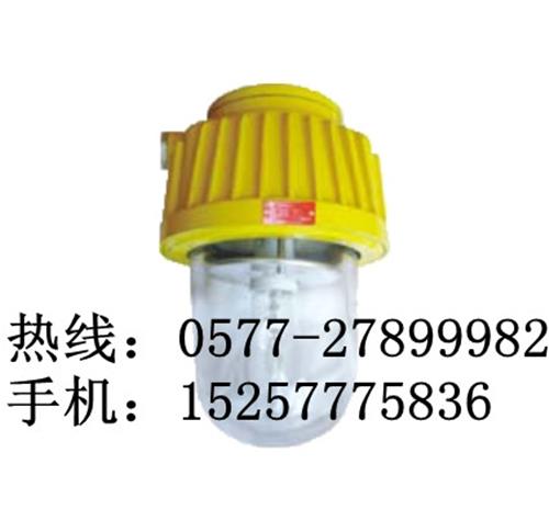 海洋王BPC8730（价格）一体式防爆平台灯厂家