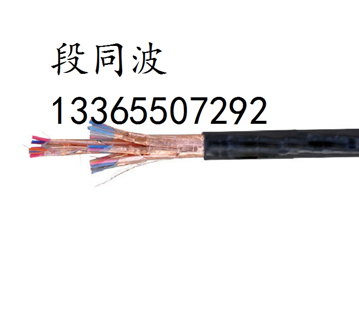 DJFP3F 2*2*1.0耐高温计算机电缆