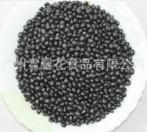 广州营养熟黑豆价格
