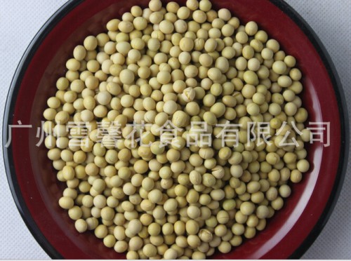 广州熟黄豆的价格营养钙质高