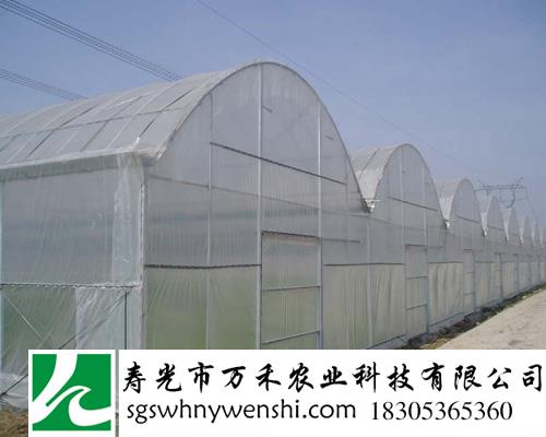 蔬菜大棚建设  简易连栋拱棚寿光市万禾农业科技