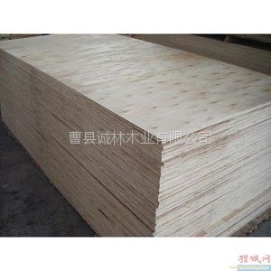 供应诚林木业全顺向素板，夹板，沙发板