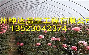 开封双梁温室大棚建造公司郑州坤达花卉温室大棚建造厂家