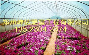 开封双梁温室大棚建造公司郑州坤达花卉温室大棚建造厂家
