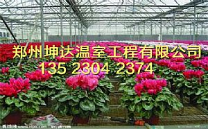 郑州花卉大棚建设技术育苗温室实施方案