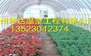 信阳花卉温室安装技术温室大棚建设费用
