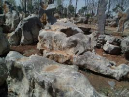 山东龟纹石，千层石，水纹石，安装湖岸施工。15653651009---15653651009