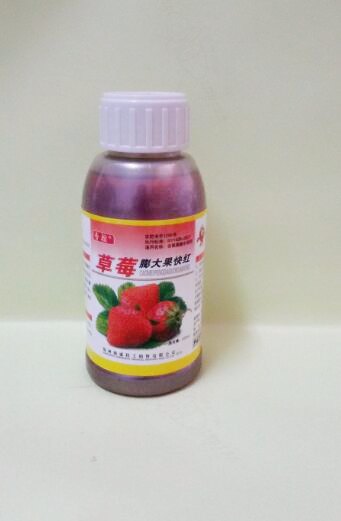  供应草莓专用膨大剂催红剂草莓果型周正、果不软不畸形