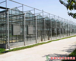 玻璃文洛式连栋温室 智能温室 日光温室 温室大棚建设