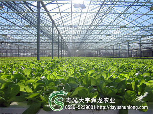 蔬菜大棚建设造价低 玻璃温室 花卉种植育苗种植 生态餐厅建棚常见大棚