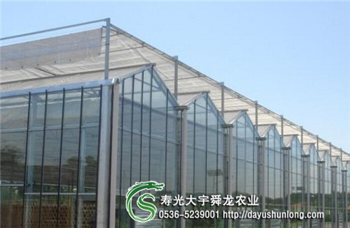 玻璃温室 玻璃大棚建设为什么价格高、造价高？ 舜龙农业专业建设大棚