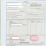 FP：中国-巴基斯坦原产地证 Form P，中巴产地证