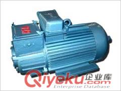 YZR电机型号YZR160M1-6-5.5KW