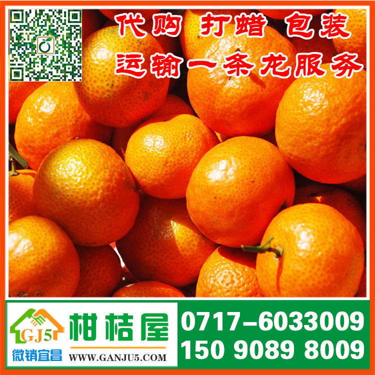 江夏区早熟蜜橘市场价格 武汉市江夏区早熟蜜橘直销价格水果价格