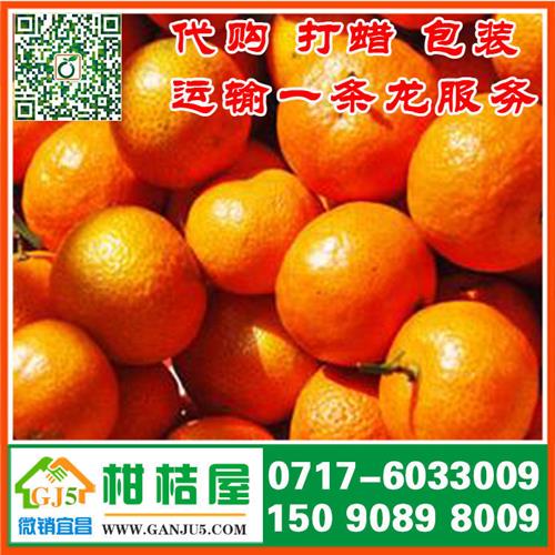 农副产品早熟密橘市场价格 上海市农副产品早熟密橘代收价格批发市场
