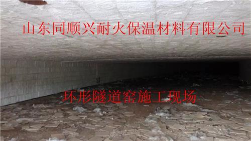供应广东建砖窑隧道窑施工耐火棉陶瓷纤维模块