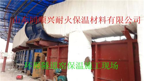 供应冶金窑炉保温陶瓷纤维模块施工