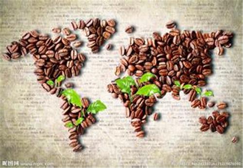 马来西亚咖啡进口报关