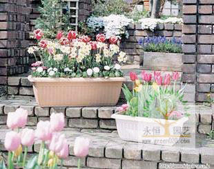长方型花盆