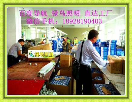 绿鸟照明|荷兰阿姆斯特丹应急球泡灯、36V、127节能灯