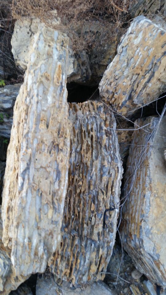 山东龟纹石，千层石，水纹石园林石直销处原始图片3