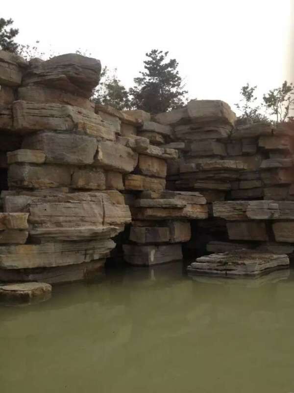 山东水纹石，千层石，龟纹石